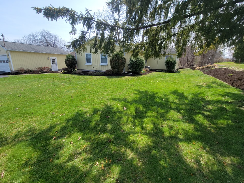 Home lawn 01